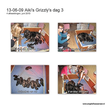 Grizzly's dag 3